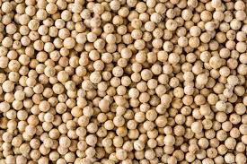 green_cardamom